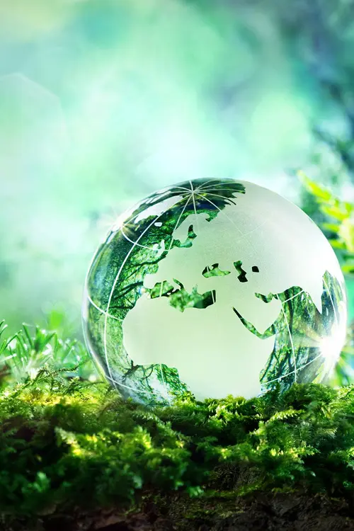 Sustainability