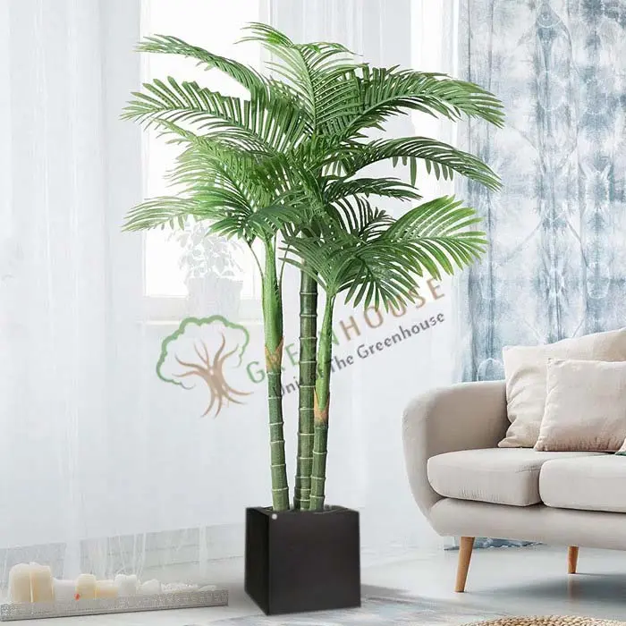 Palm-Tree