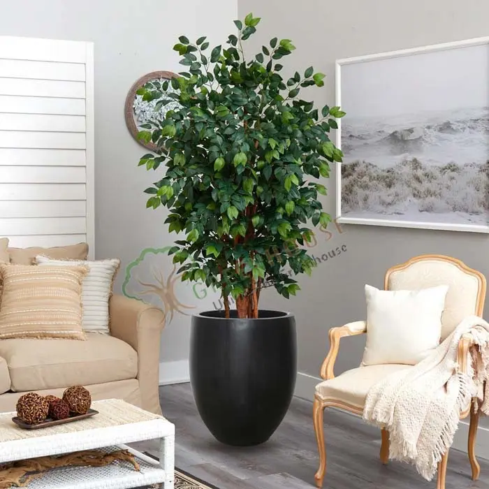 Small-Tree