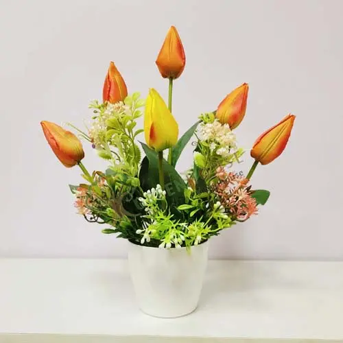 Plants, Foliages & Flowers