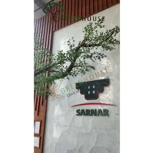 1-Sided-Ruscus-Tree