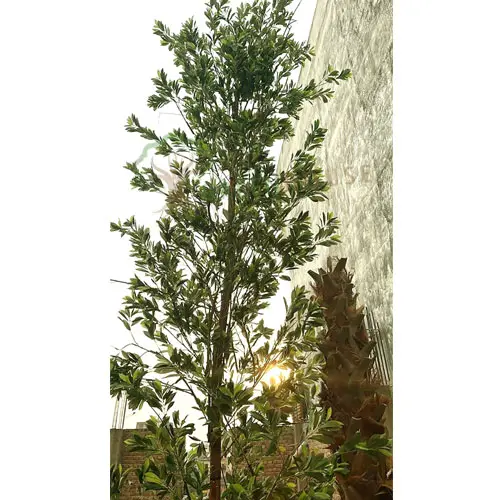 Event-Big-Wish-Tree