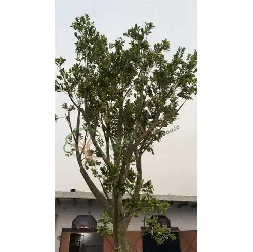 Fake-Artificial-Tree