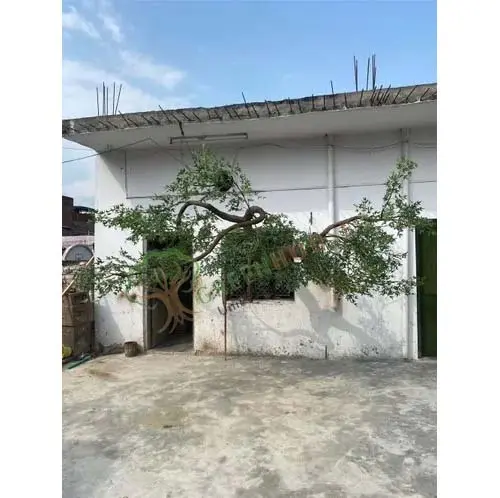 Tree-Wall-Mounted