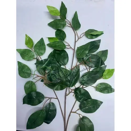 Big-Ficus-Tree