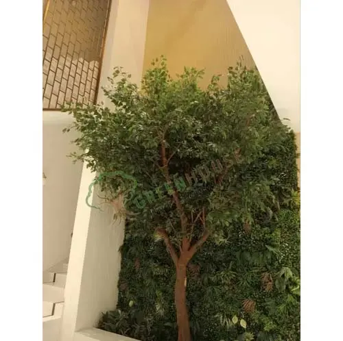 1-Sided-Ruscus-Tree