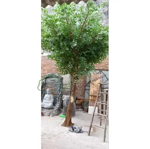 1-Sided-Ruscus-Tree