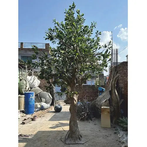 Forest-Themed-Tree
