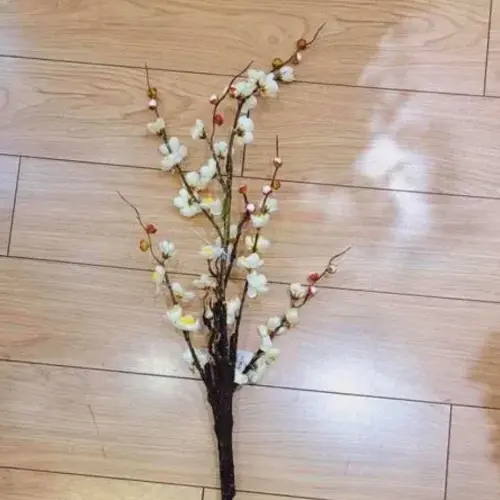 Blosom-Tree-11-Feet