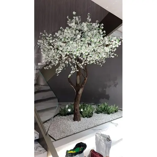 Cherry-Blossom-Tree
