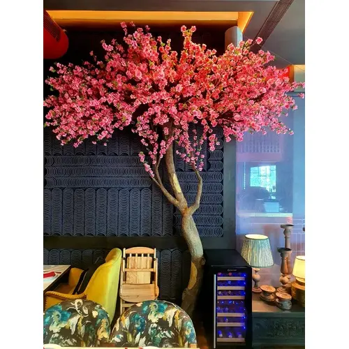 Cherry-Blossom-Tree