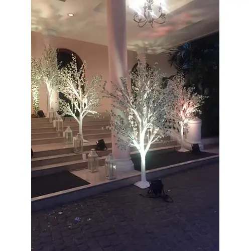 Cherry-Blossom-Wish-Tree