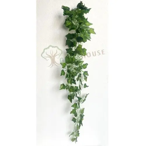 Plants Foliages & Flowers