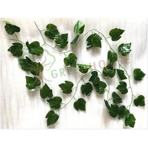 Plants Foliages & Flowers