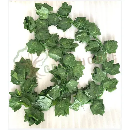 Plants Foliages & Flowers