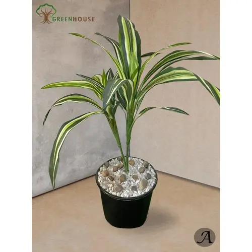 Plants Foliages & Flowers