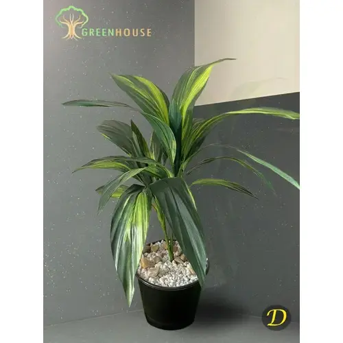 Plants Foliages & Flowers