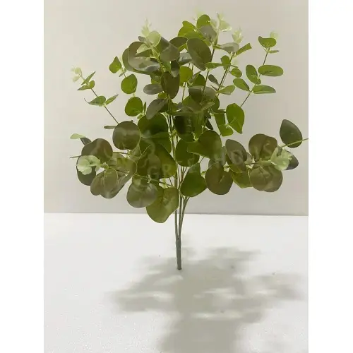 Plants Foliages & Flowers