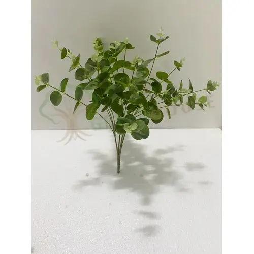 Plants Foliages & Flowers
