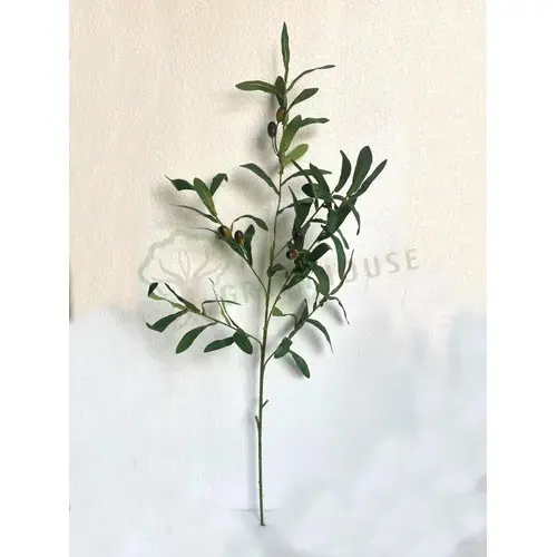Plants Foliages & Flowers