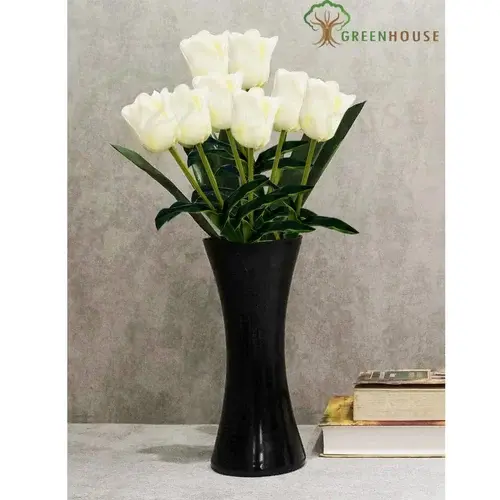 Plants Foliages & Flowers
