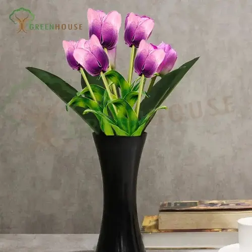 Plants Foliages & Flowers