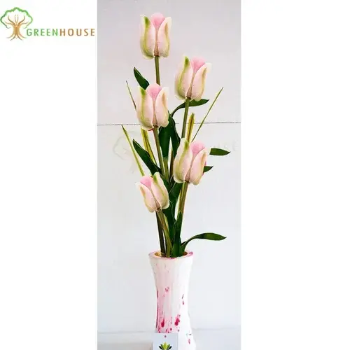 Plants Foliages & Flowers