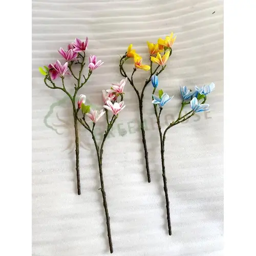 Plants Foliages & Flowers