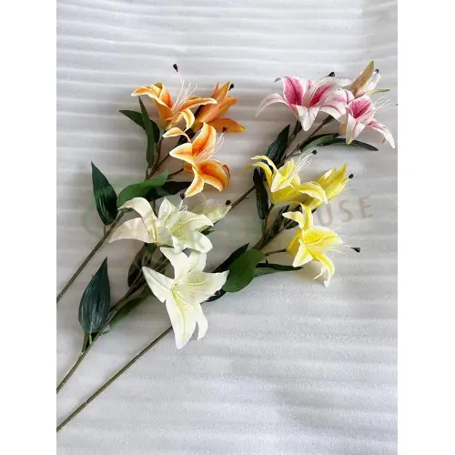 Plants Foliages & Flowers
