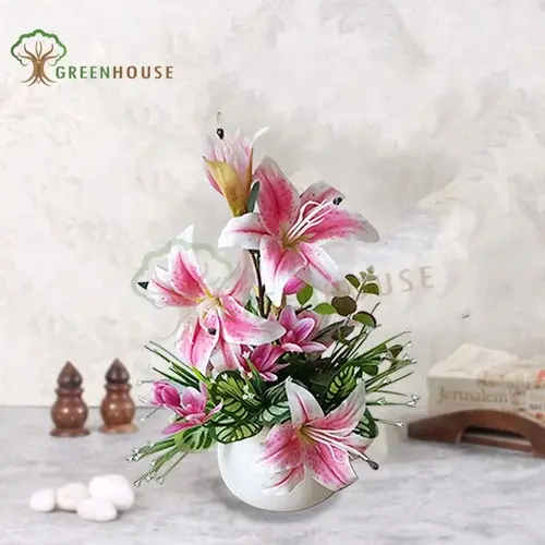 Plants Foliages & Flowers