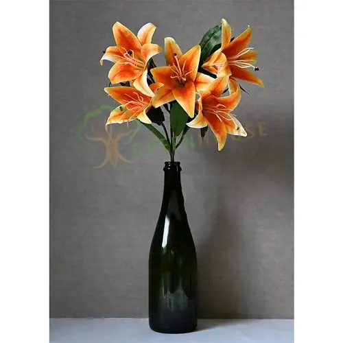 Plants Foliages & Flowers