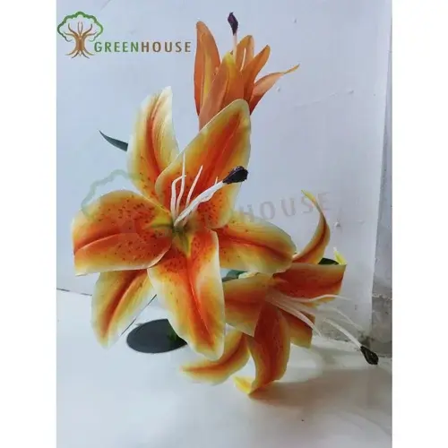 Plants Foliages & Flowers
