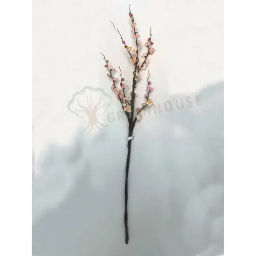 Plants Foliages & Flowers