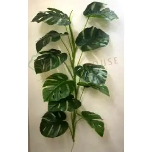 Plants Foliages & Flowers