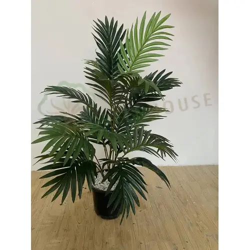 Plants Foliages & Flowers