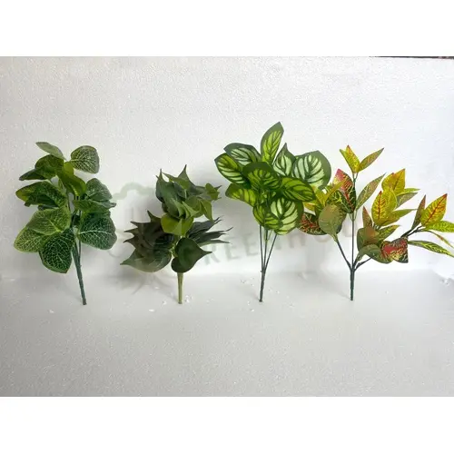 Plants Foliages & Flowers