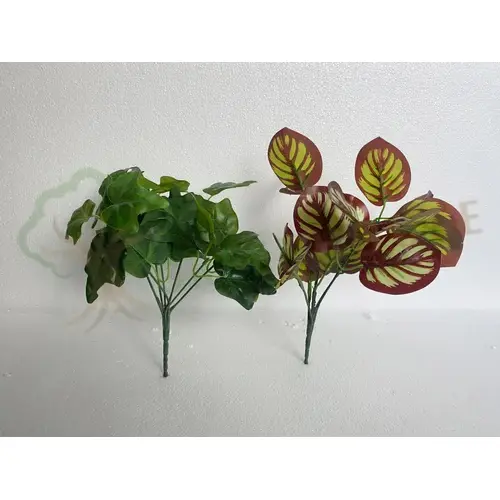 Plants Foliages & Flowers