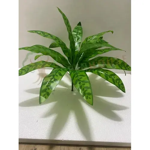 Plants Foliages & Flowers