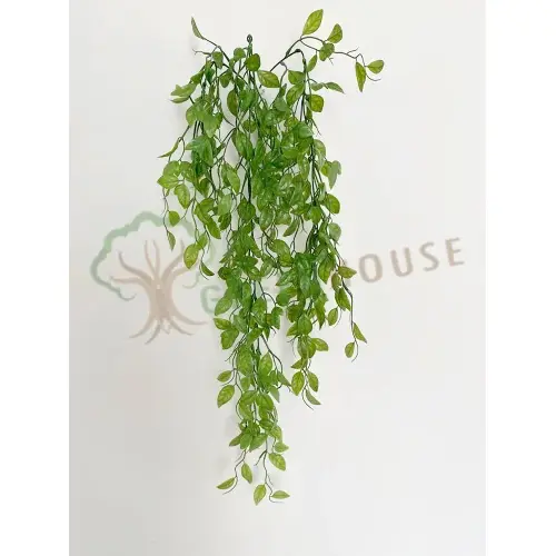 Plants Foliages & Flowers