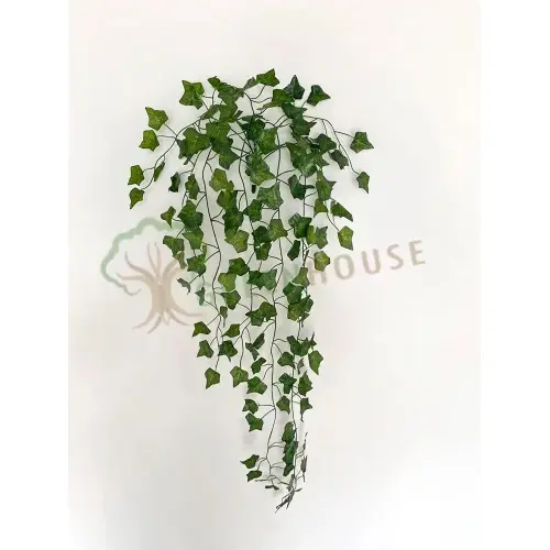 Plants Foliages & Flowers
