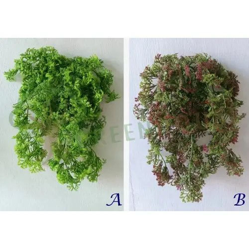 Plants Foliages & Flowers