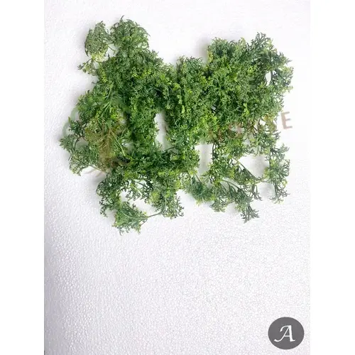 Plants Foliages & Flowers