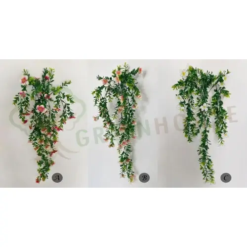 Plants Foliages & Flowers