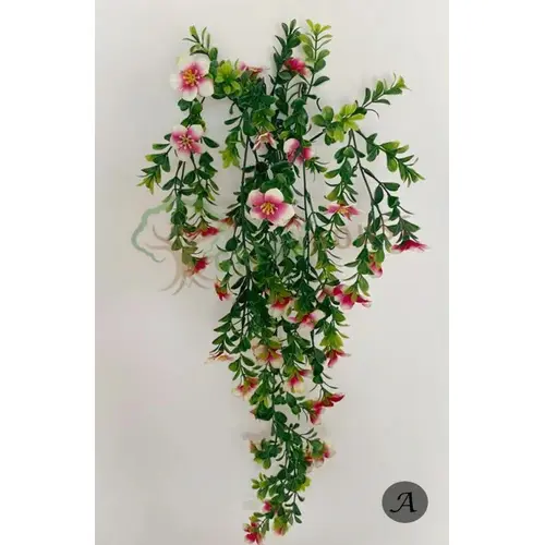 Plants Foliages & Flowers