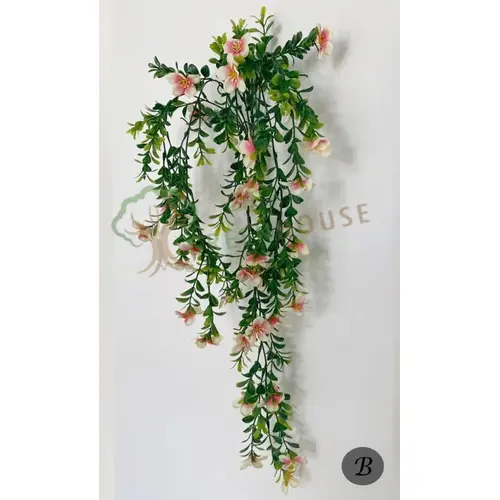 Plants Foliages & Flowers