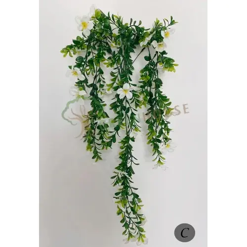 Plants Foliages & Flowers