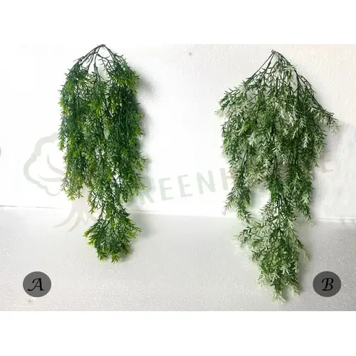 Plants Foliages & Flowers