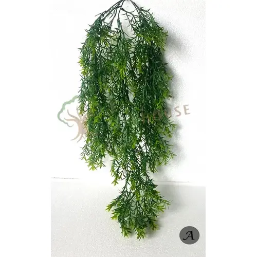 Plants Foliages & Flowers