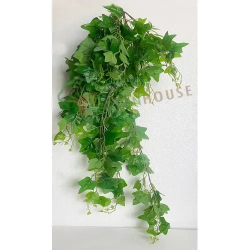 Plants Foliages & Flowers