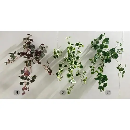 Plants Foliages & Flowers